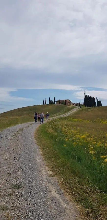 Villa Staffolino Siena Bauernhof